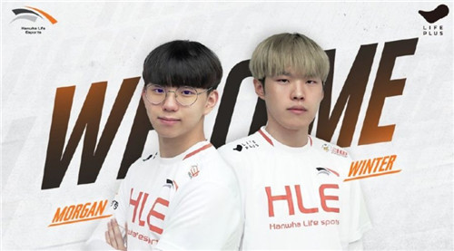 他在分析中 他在分析中