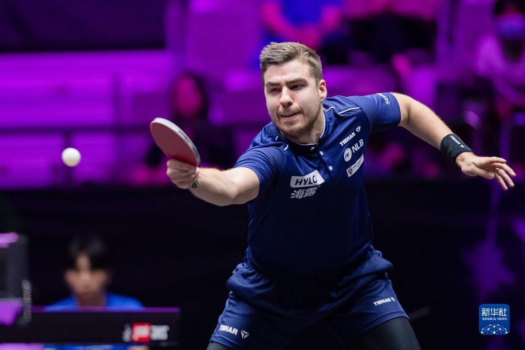 尼斯的组合 尼斯的组合