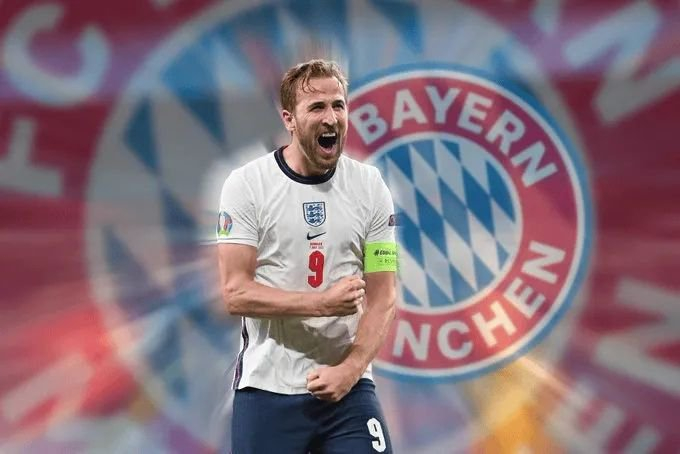 阵容年龄结 阵容年龄结